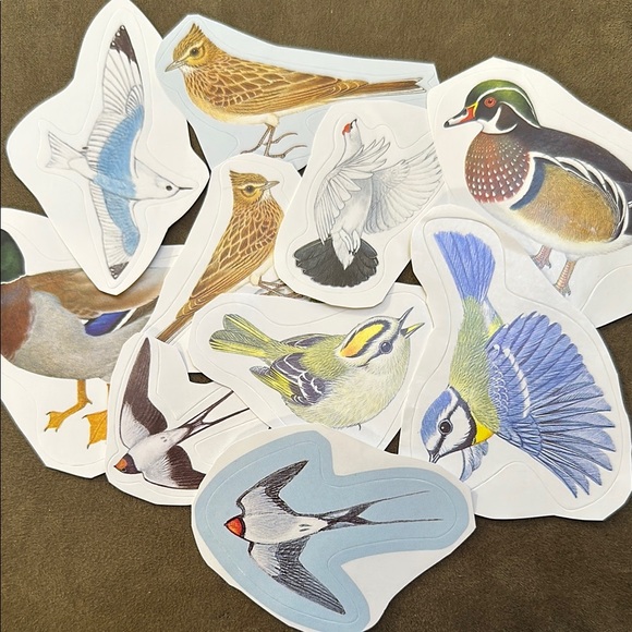 Colorful Bird Stickers Set - beautiful variety, multicolor - Picture 8 of 8
